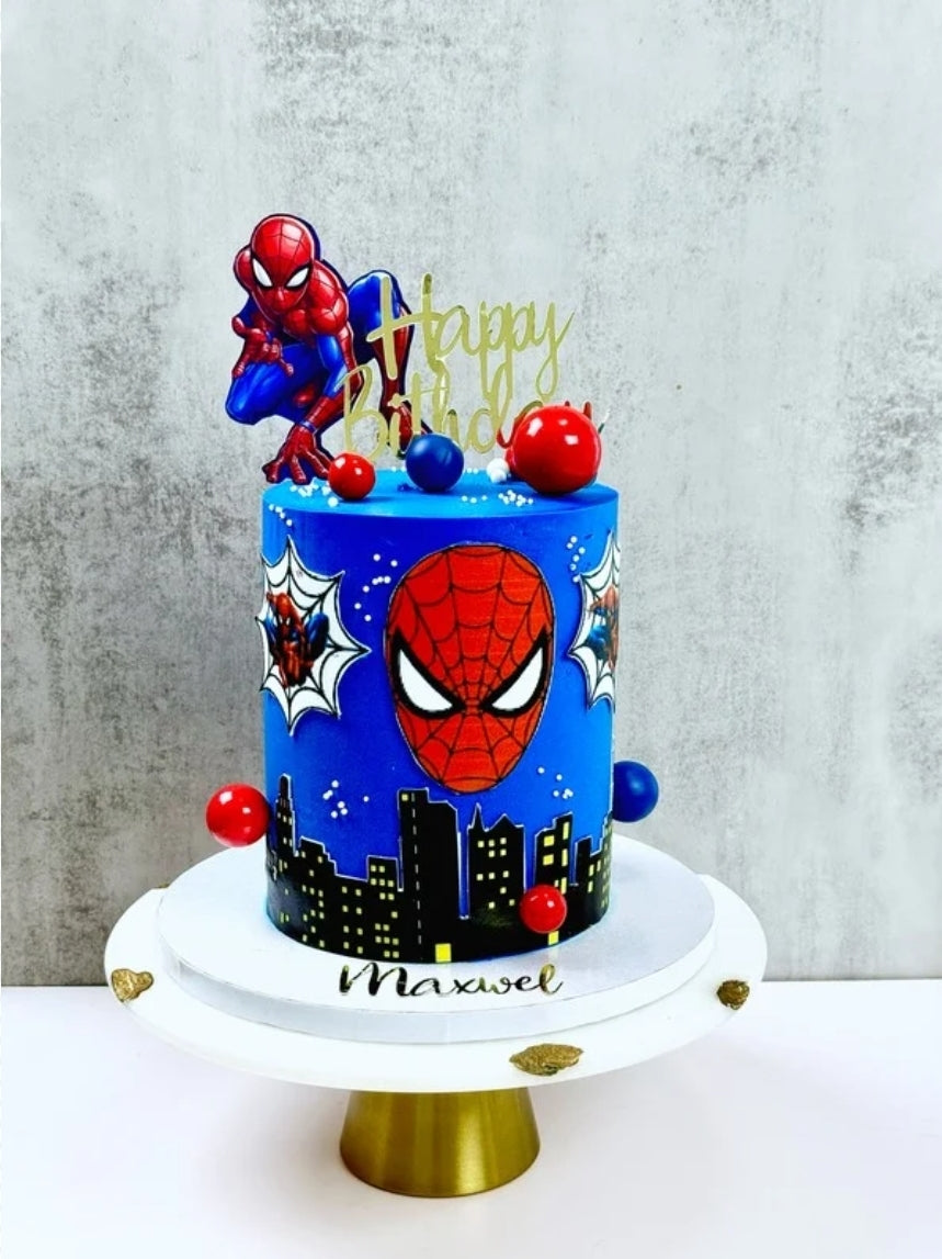 Spider Hero